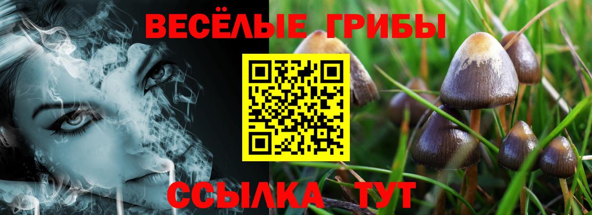 Галлюциногенные грибы GOLDEN TEACHER Похвистнево